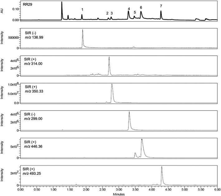 FIGURE 2