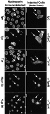 Figure 7.