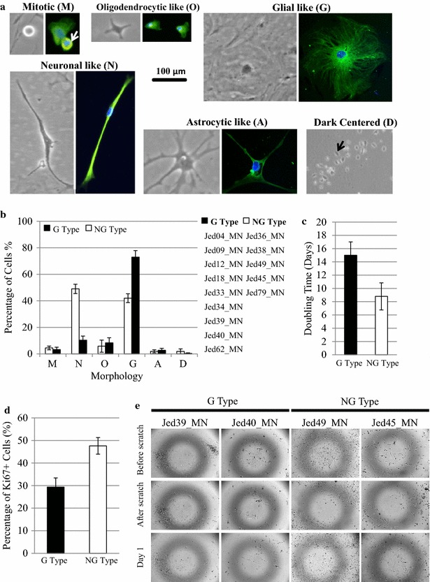 Fig. 2