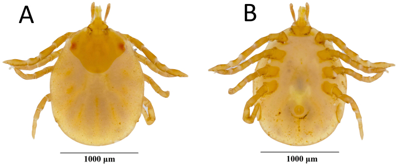 Supplementary Fig. 1