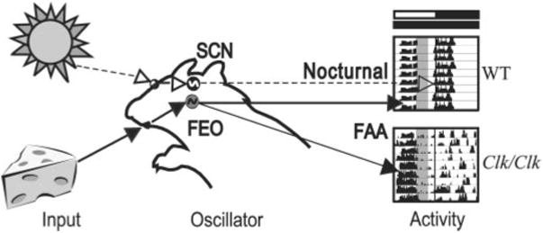 Fig. 9