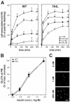 FIG. 7.