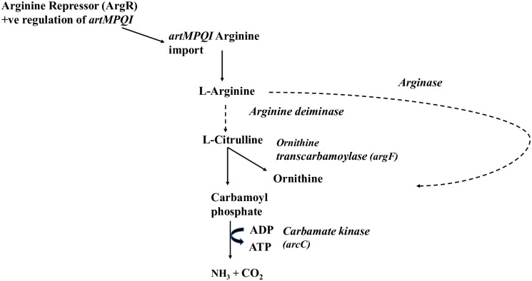 Fig 6