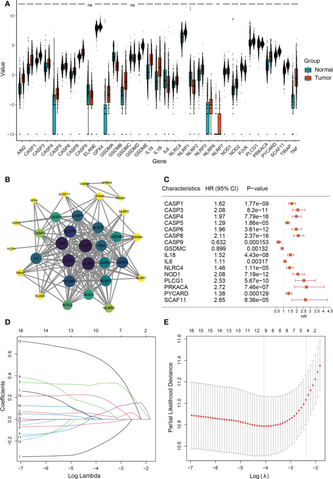 Figure 2