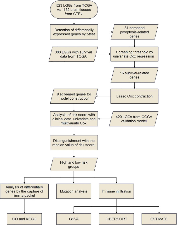 Figure 1