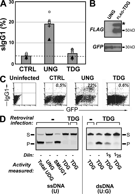 Figure 6.