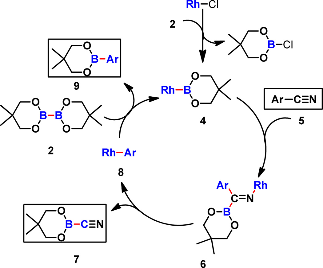 Scheme 4