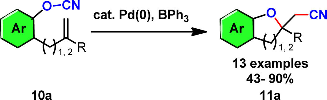 Scheme 5