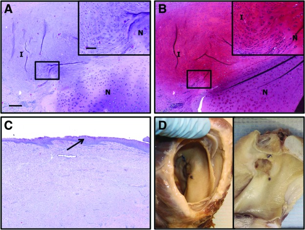 FIG. 6.