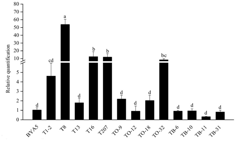 FIGURE 6