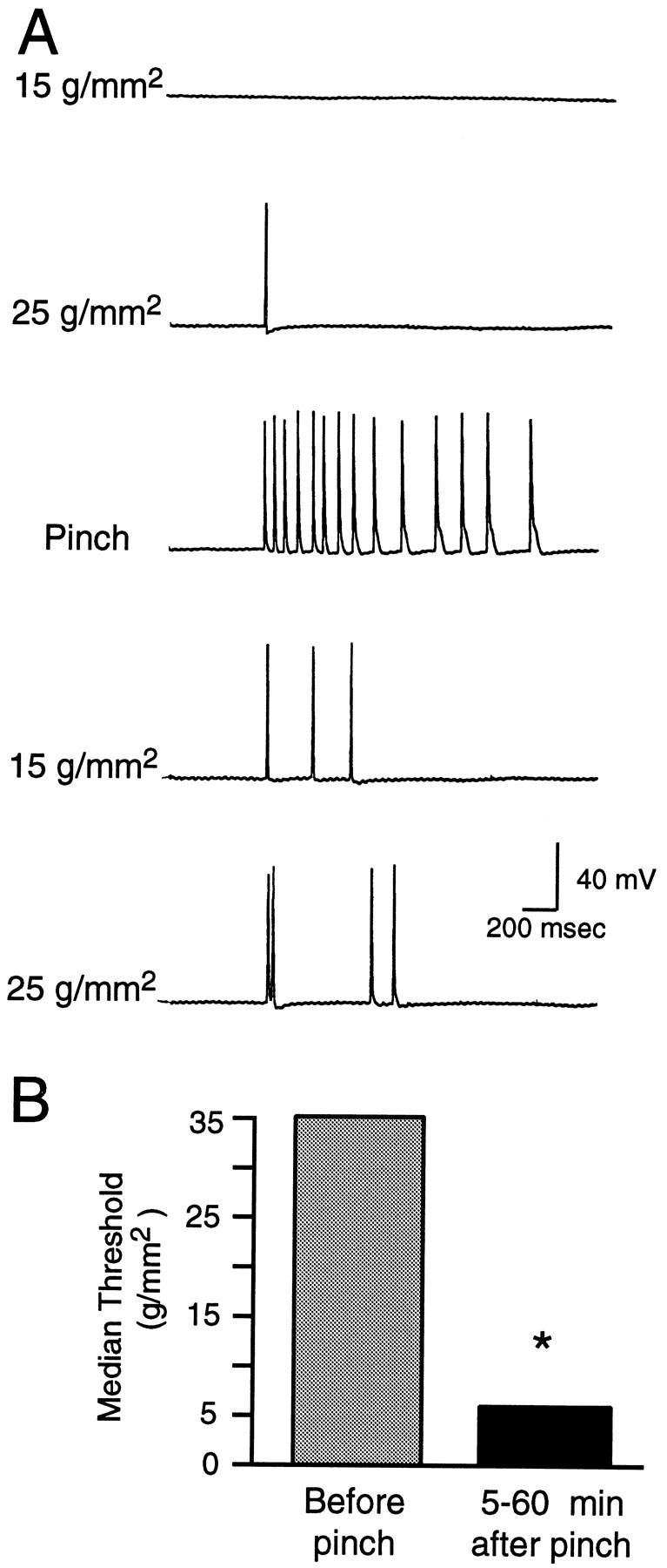 Fig. 8.