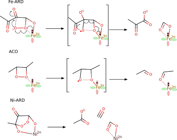 Figure 12.