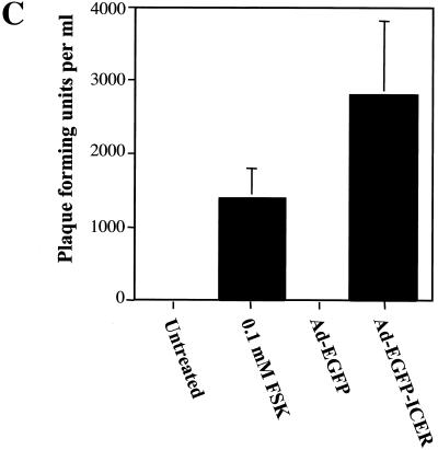 FIG. 6