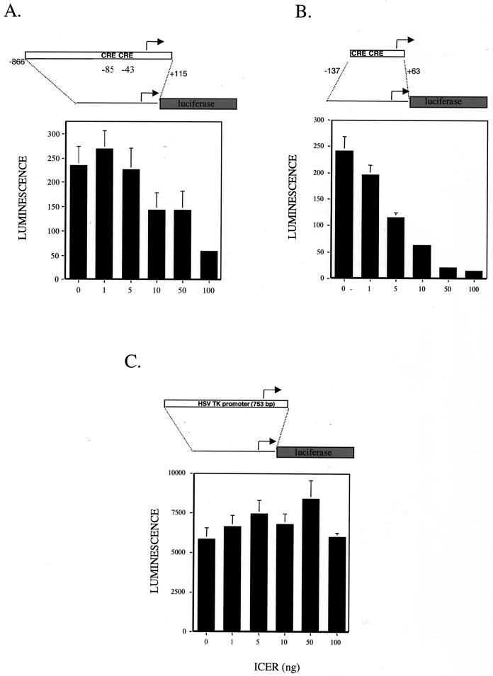 FIG. 5