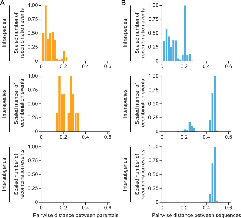 Bar graphs depict scaled number of recombination events in intraspecies, interspecies, and intersubgenus comparisons as a function of pairwise distance between parentals and pairwise distance between sequences.