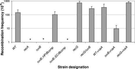 FIG. 2.