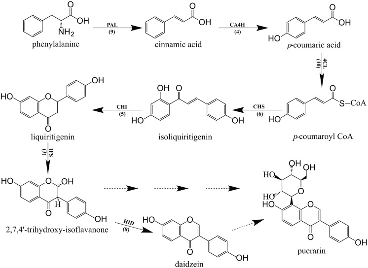 FIGURE 4