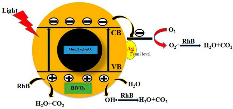 Figure 10