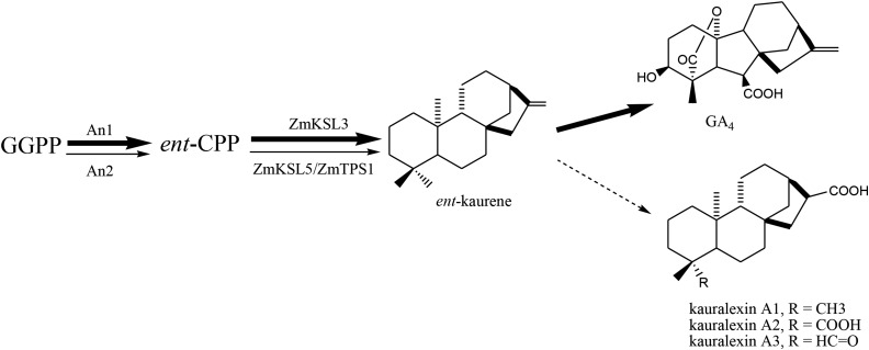 Figure 7.