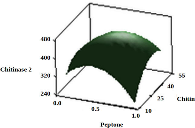 Figure 10