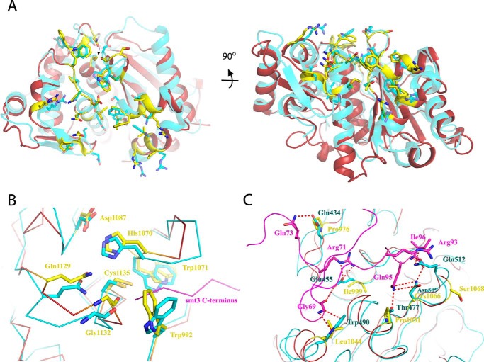 Figure 6.