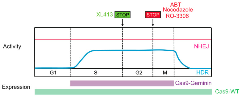 Figure 6