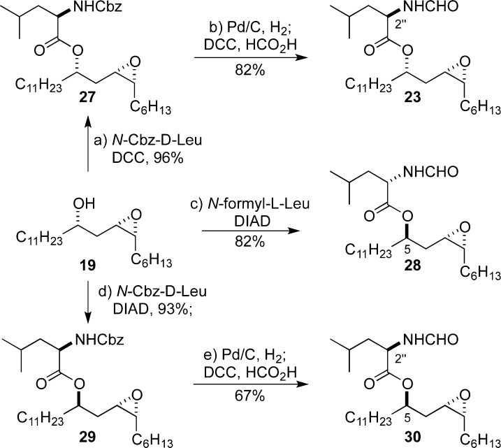 Scheme 8