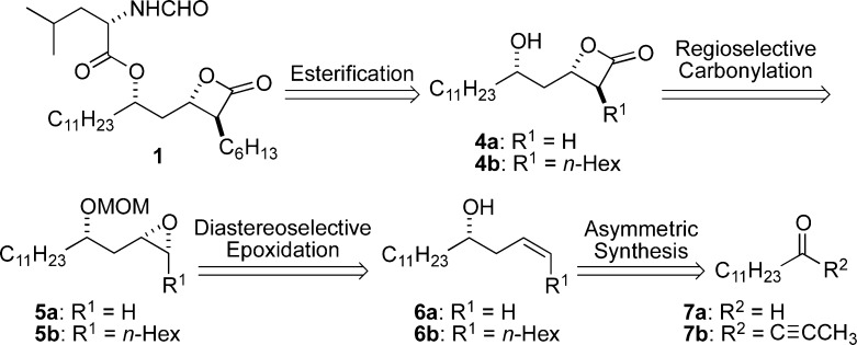 Scheme 2