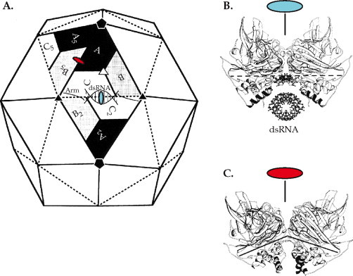 FIGURE 2.6