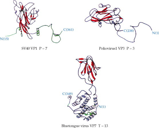 FIGURE 2.4