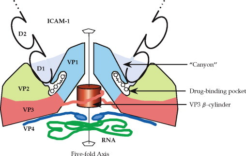 FIGURE 2.9