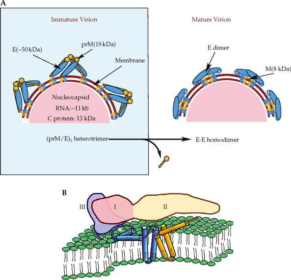 FIGURE 2.19