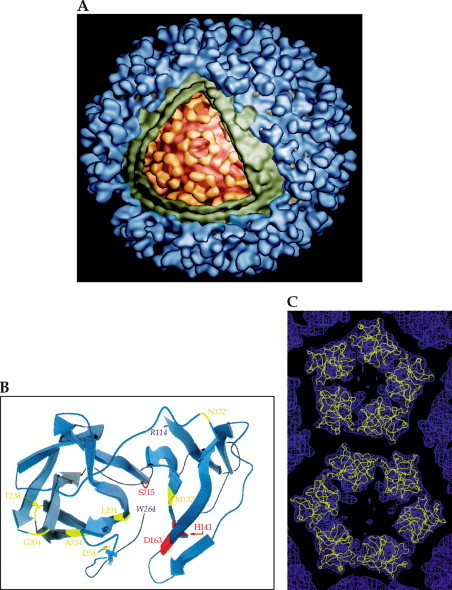 FIGURE 2.14