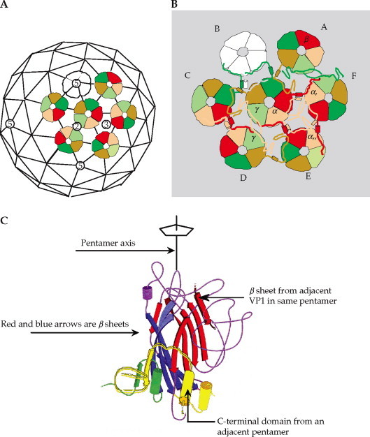 FIGURE 2.10