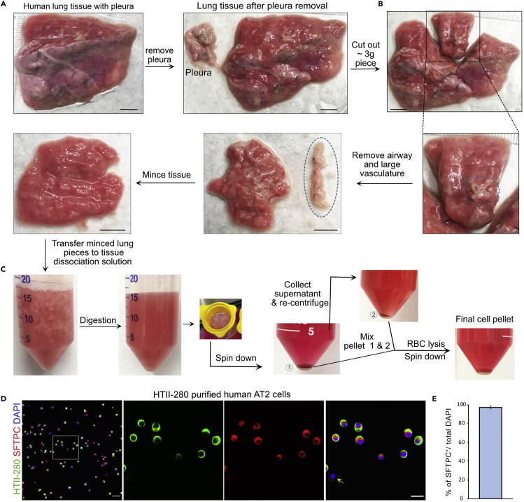 Figure 3