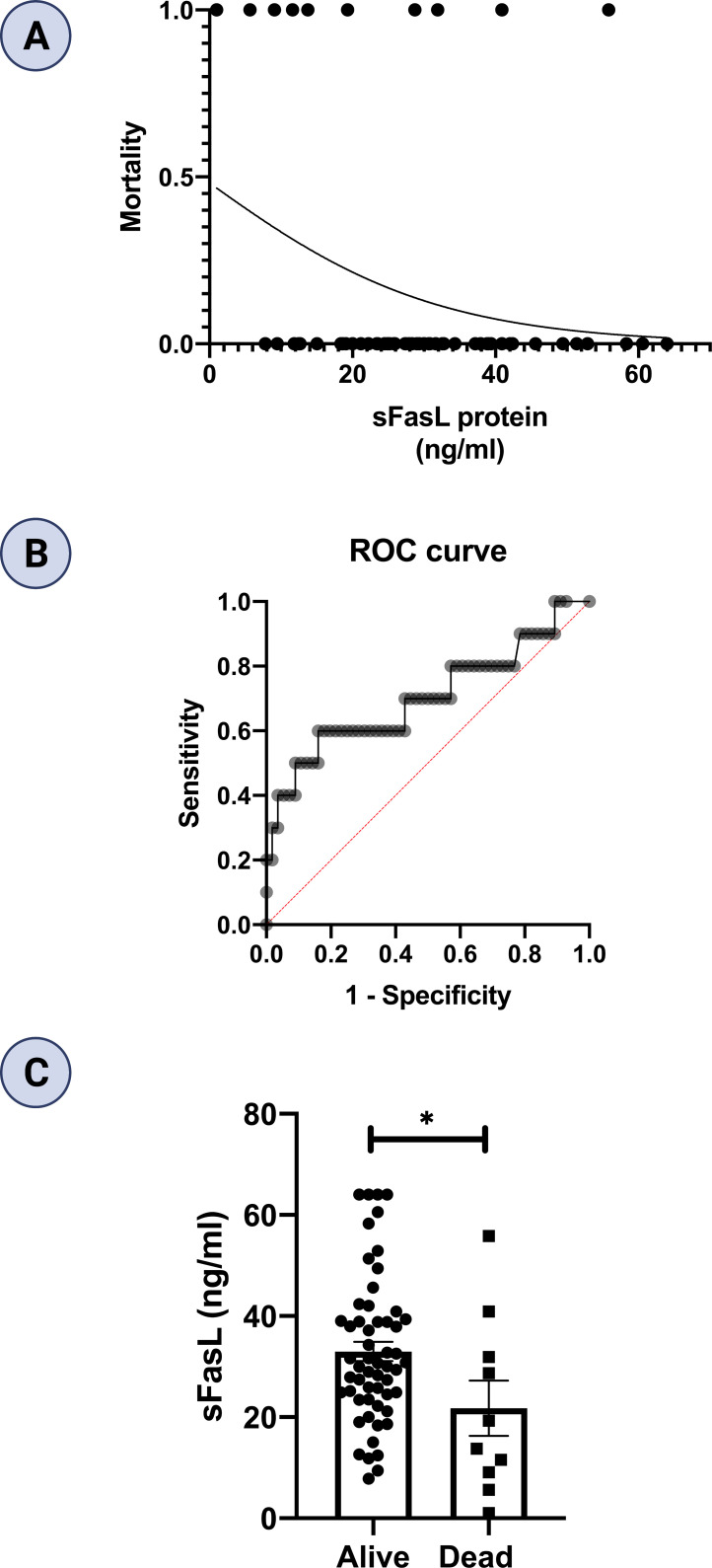 Figure 6