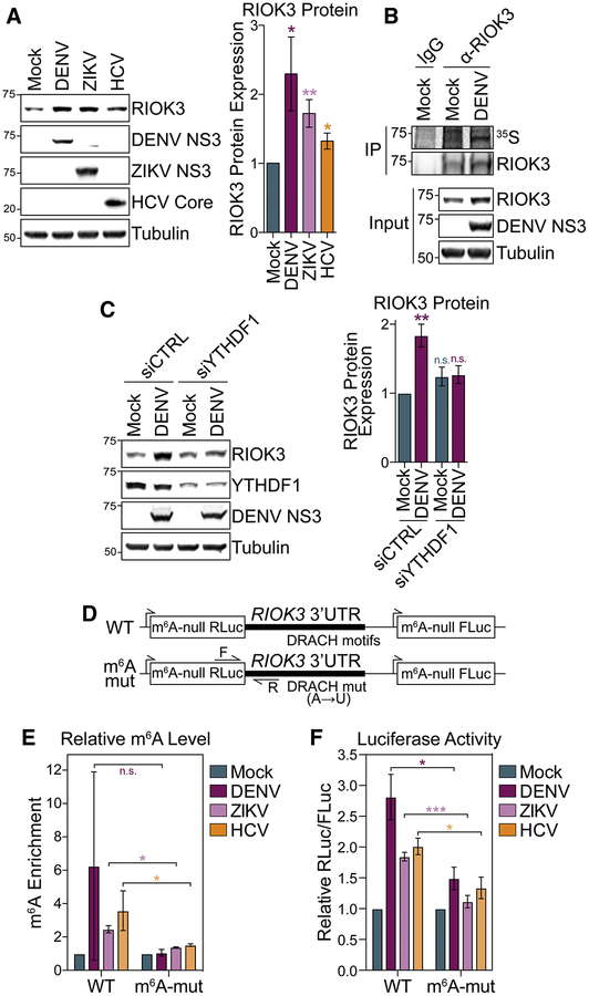 Figure 3: