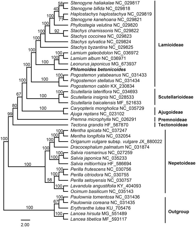 Figure 1.