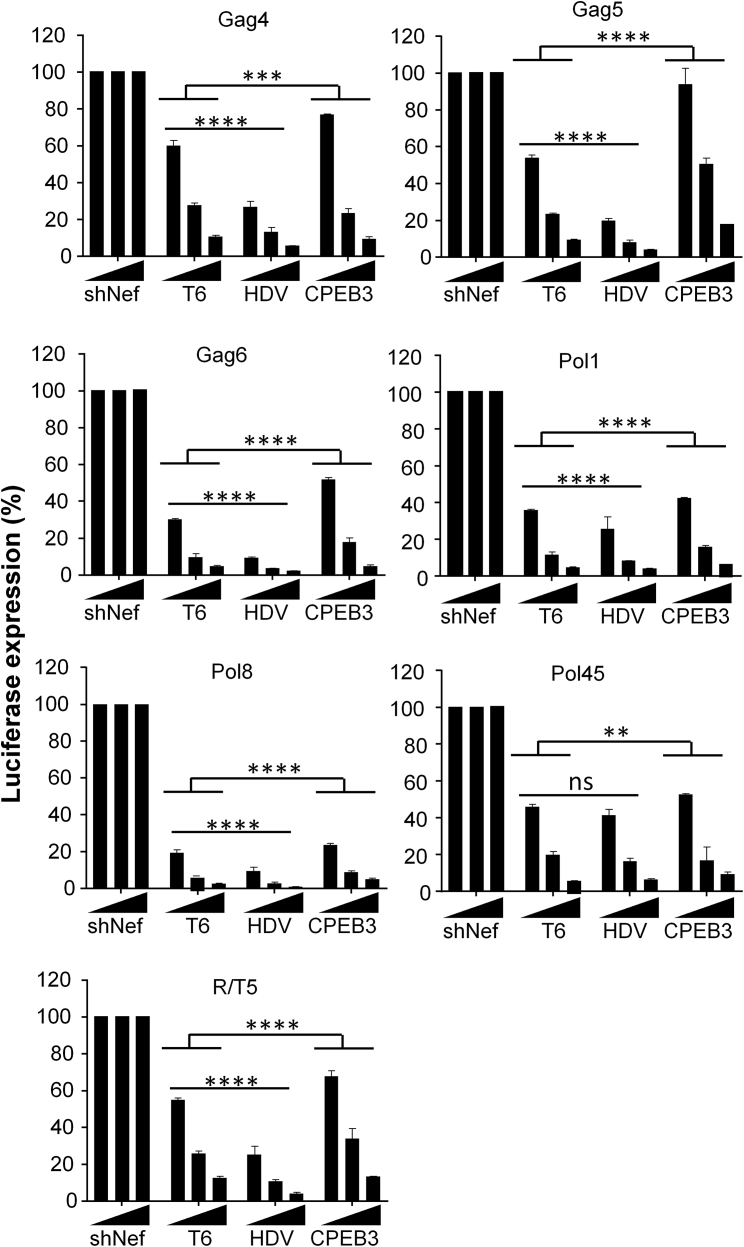 Figure 3