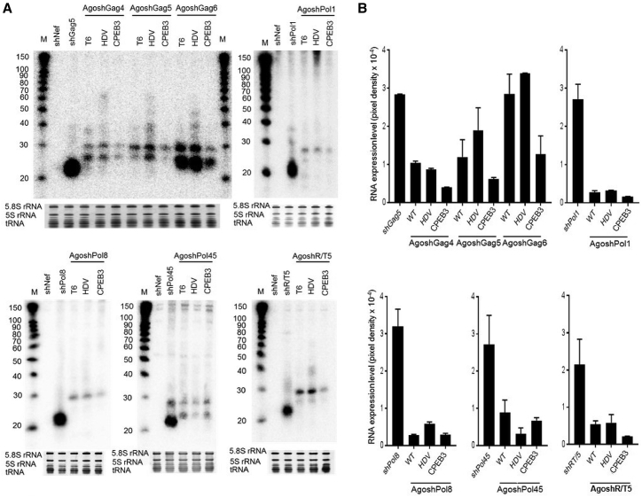 Figure 4