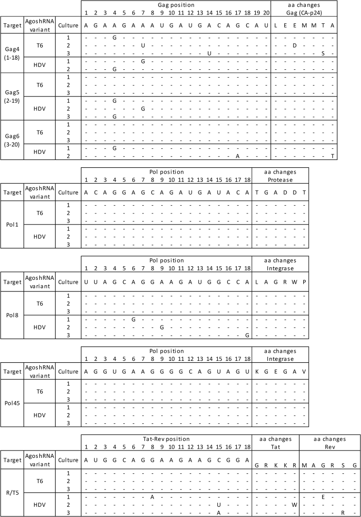 Figure 6