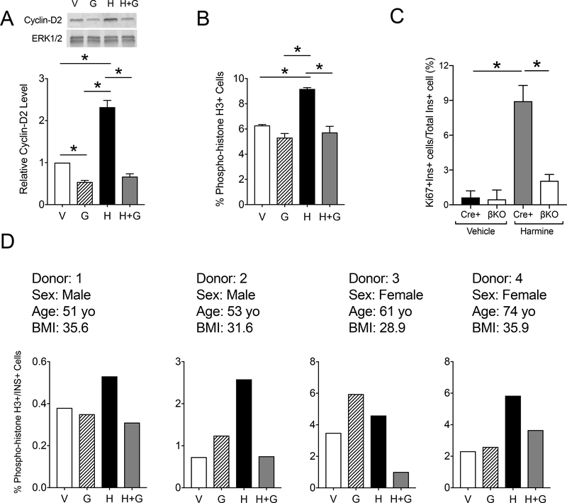 Figure 6: