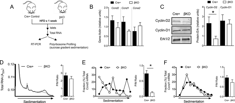 Figure 5: