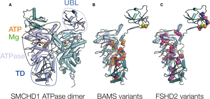 Figure 2.