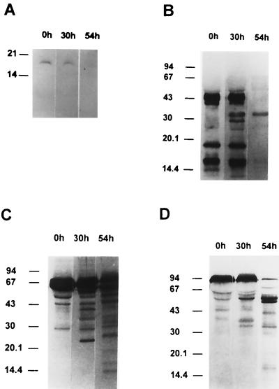 FIG. 8