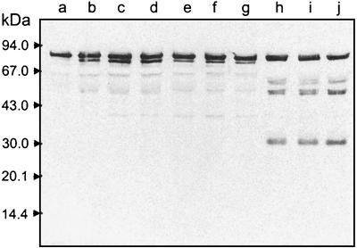 FIG. 7