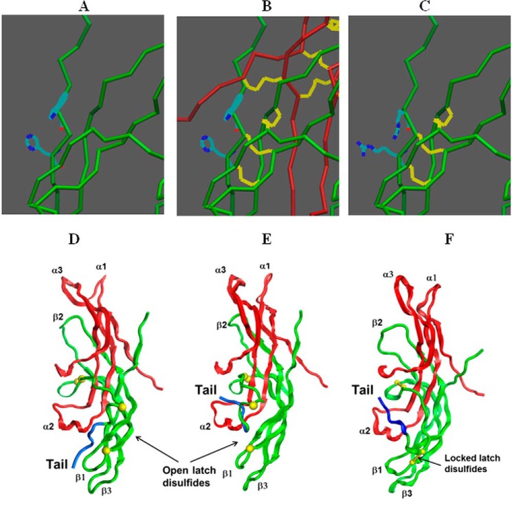 FIGURE 3.