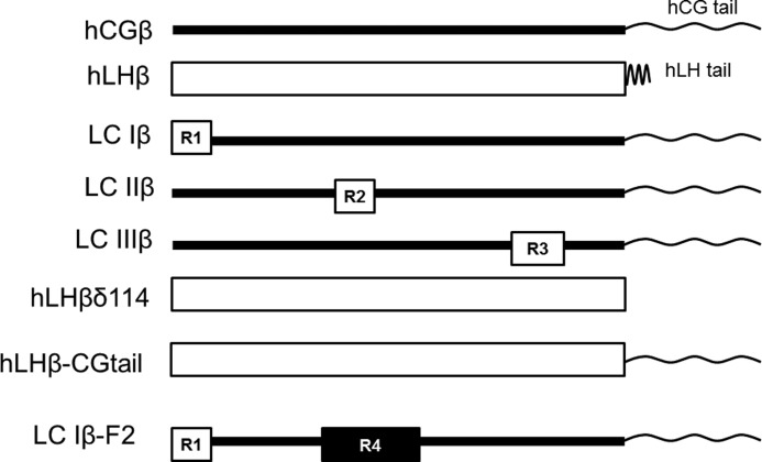 FIGURE 1.