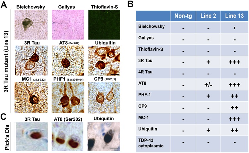 Fig 8