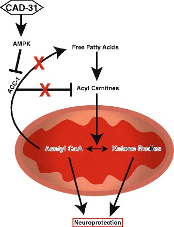 Fig. 9